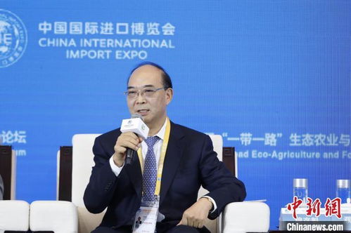 穆彥魁 進博會是 中國搭臺 世界共享 的窗口