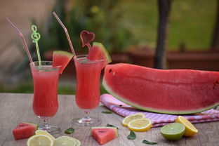 清涼一夏 自制水果冰沙與玻璃飲品，盡享健康美味